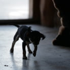 Anita Bellini in 'Art and Erotica'