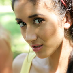 Pin-up Picnic