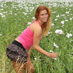 Embiste mi flor