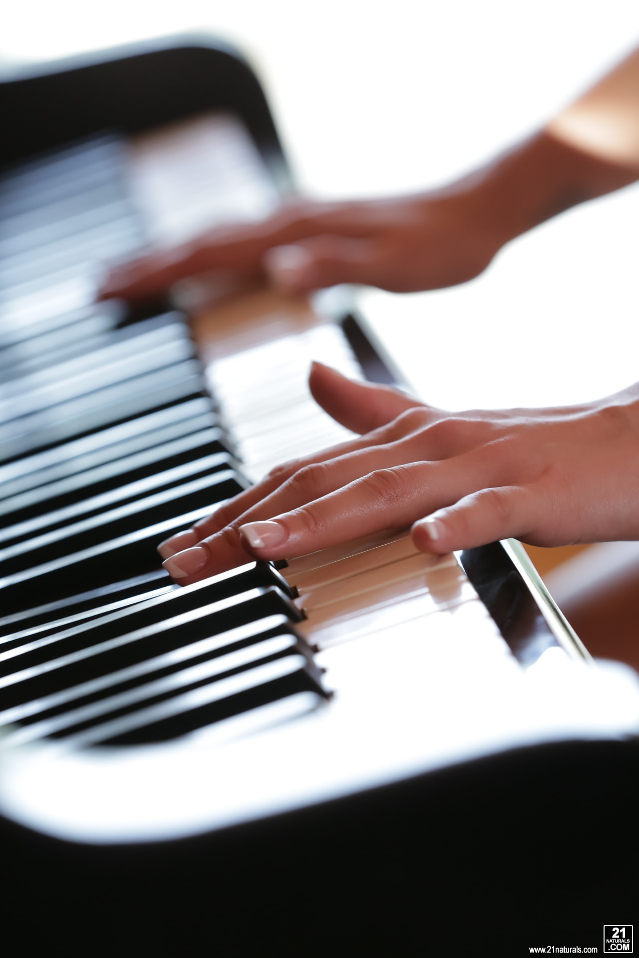 Anal Sonata