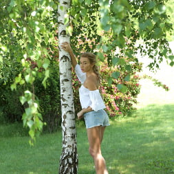 Banging In The Wind
